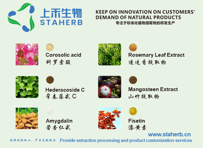 绿原酸 天然绿色的多面手，工业植物提取引领健康新未来