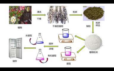 蕴藏自然的奥秘 工业植物提取物作为缓蚀剂的研究与应用