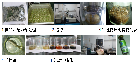 从鱼到草 水产品无水活运与工业植物提取的跨界启示